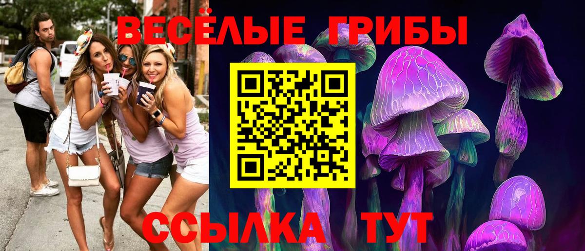 Псилоцибиновые грибы Psilocybe  Псилоцибиновые грибы мицелий  Кыштым  Вход с VPN 