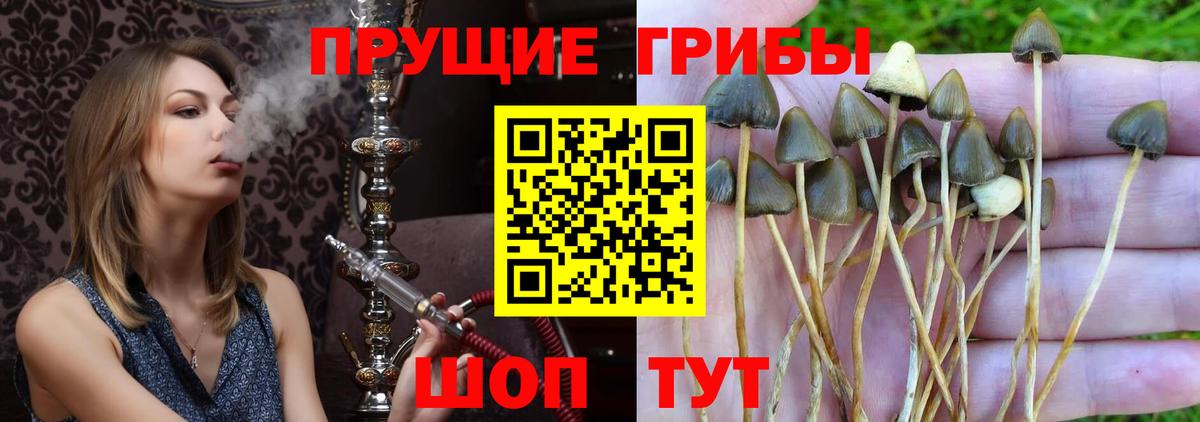 Галлюциногенные грибы Magic Shrooms Кыштым